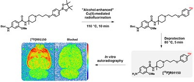 Radiosynthese und biologische Bewertung von [18F]R91150, einem selektiven 5‐HT2A-Rezeptorantagonisten für die PET-Bildgebung