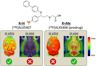 [18F]ALX5406.png