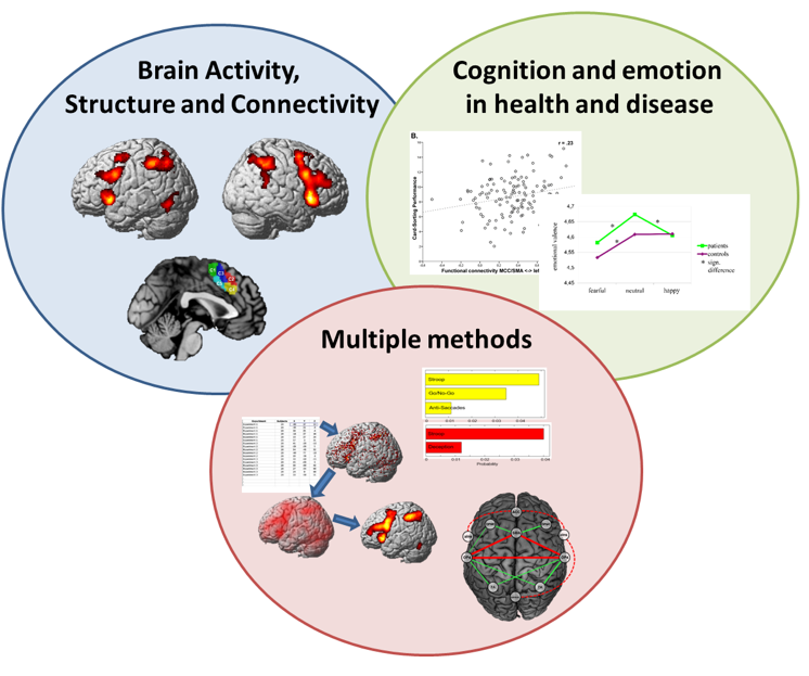 Kognitive und Affektive Biopsychologie