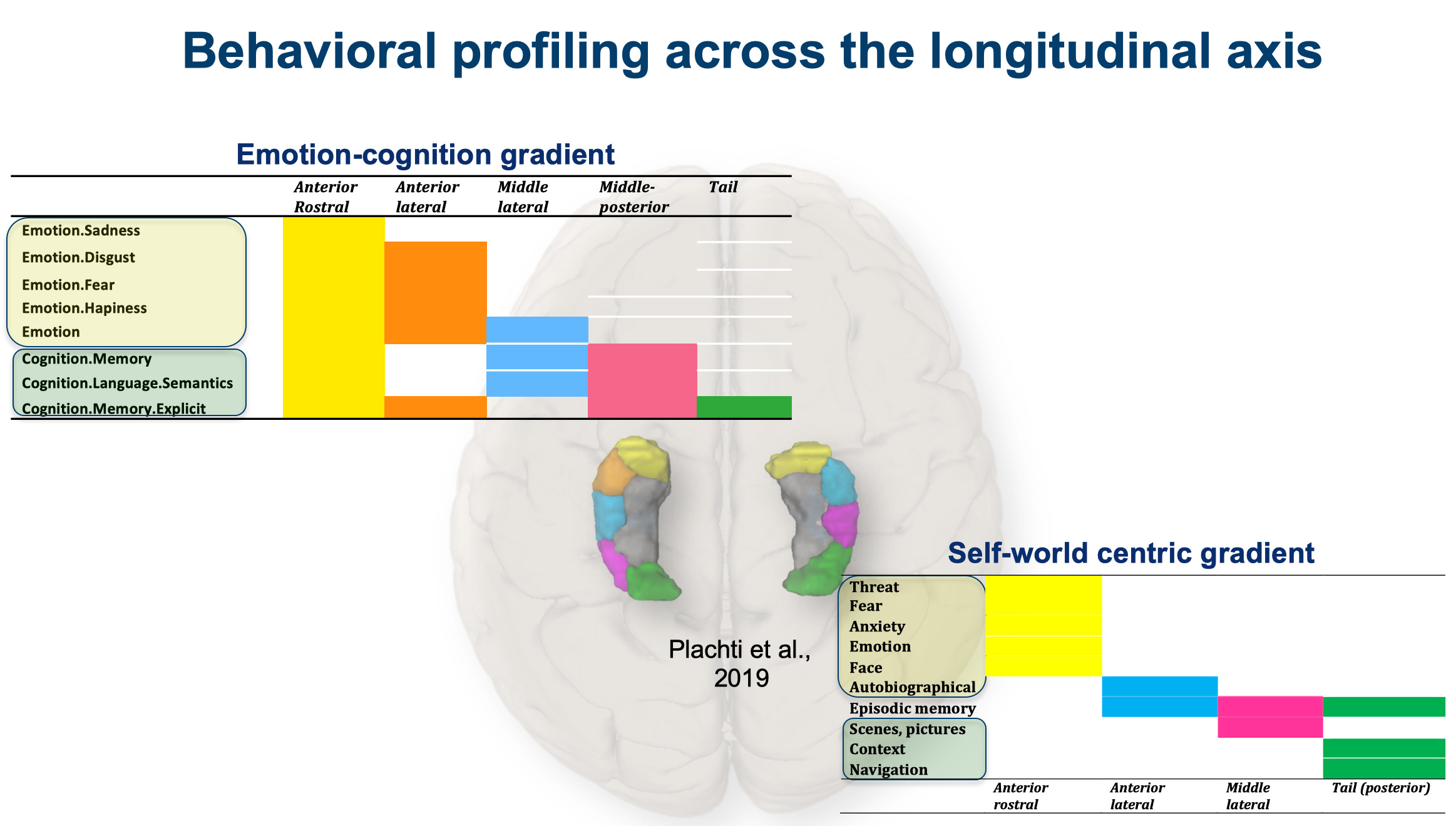 Kartierung von Struktur und Funktion des Hippocampus durch das Cognitive NeuroInformatics Lab