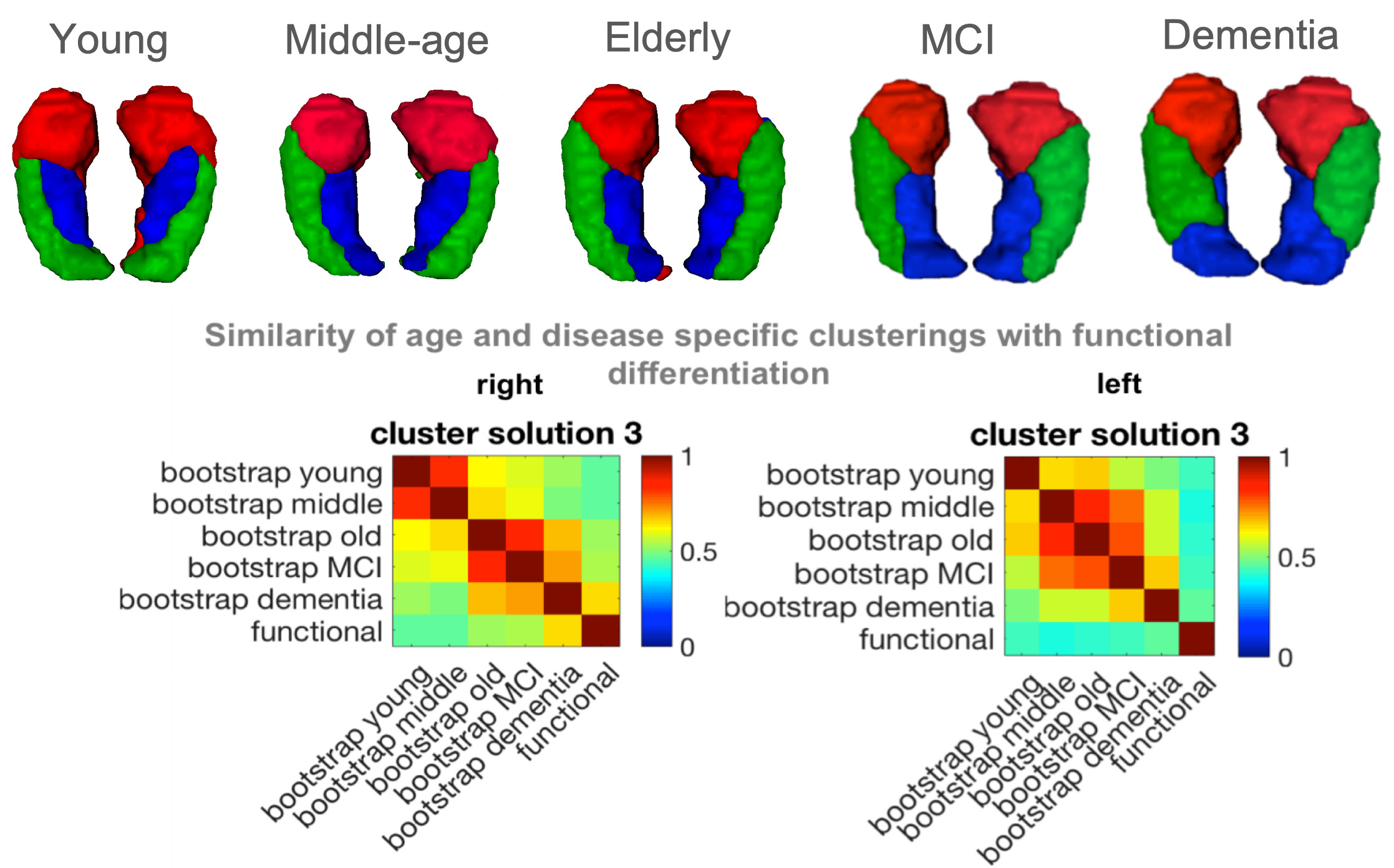 Kartierung von Struktur und Funktion des Hippocampus durch das Cognitive NeuroInformatics Lab