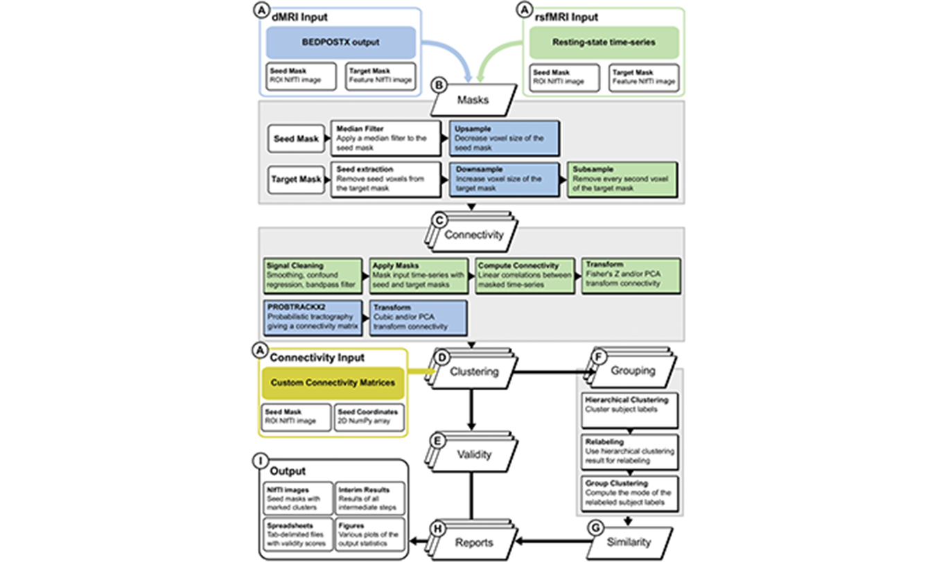 Connectivity-Based Parcellation (CBP)