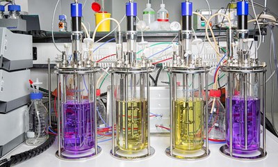 Cheap and pure production of d-xylonate