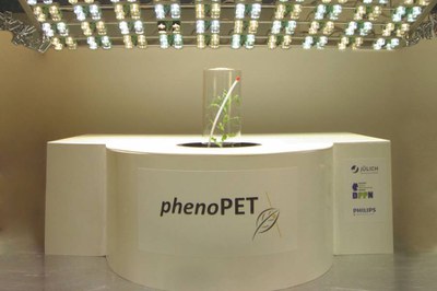 PET