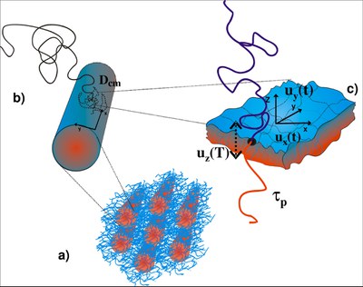 polymerchemie_1e_jpg.poster.jpeg