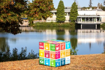 SDG Würfel Aufmacher