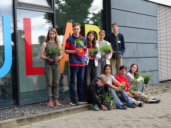 Praktikum in den Sommerferien