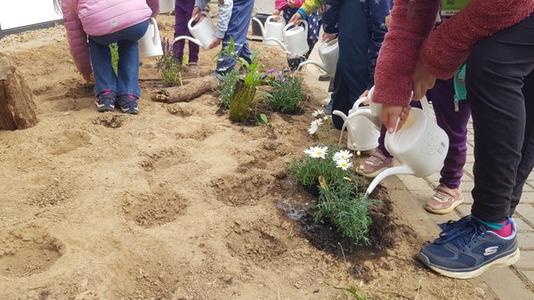 Man sieht Menschen, die sich bücken und pflanzen in die Erde pflanzen