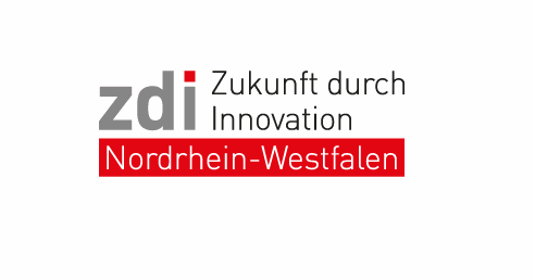 ZDI