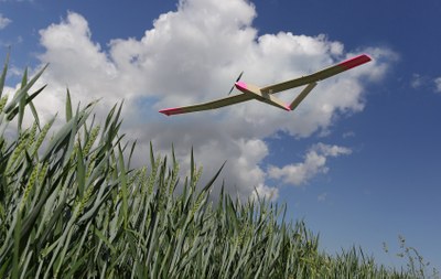 Ein Segelflugzeug fliegt über ein Feld mit hohem Gras vor einem blauen Himmel mit weißen Wolken. (Mistral: Pixtral Large 2411, 2026-03-04)