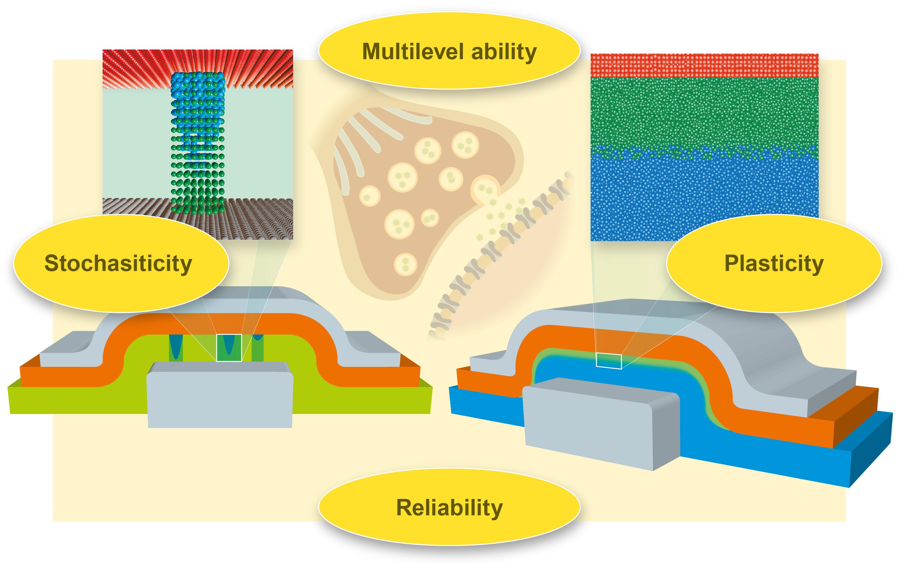Neuromorphic-Slider.poster.jpeg