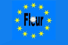 Fleur2.jpg