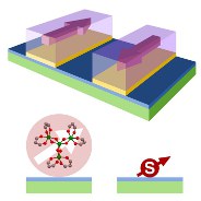 Spin valves with molecular magnets.jpg