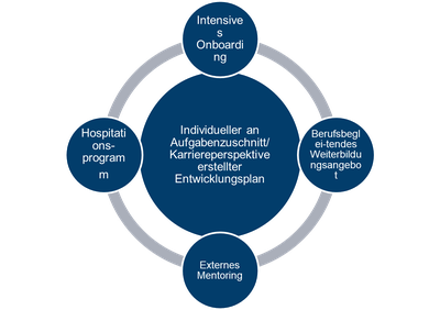 Entwicklungsplan.png