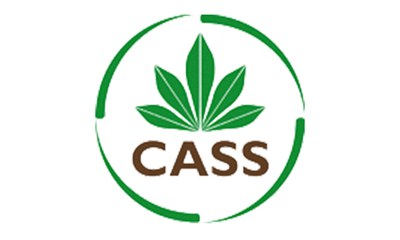 cass_teaser3.jpg