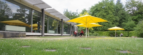 Lesegarten der Zentralbibliothek