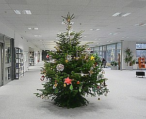 Weihnachtsbaum im Lesesaal