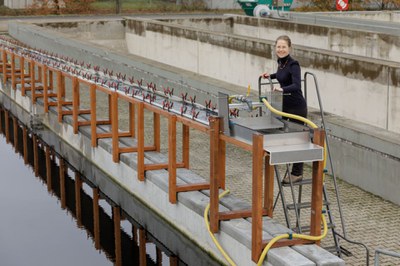 Alleskönner Algen! Großexperiment an der Kläranlage