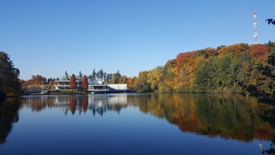 Indian Summer at Work