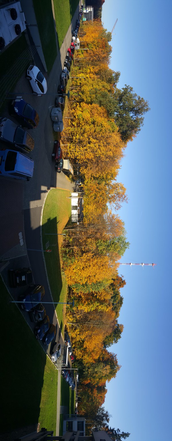 [My Office Window View]