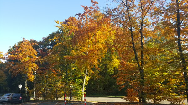 Parking Lot behind JSC - Picture by Bernd Mohr