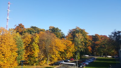 20151027_151650.jpg