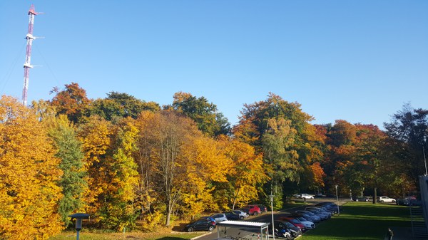 Parking Lot behind JSC - Picture by Bernd Mohr