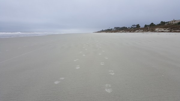 Hilton Head island beach - Picture by Bernd Mohr