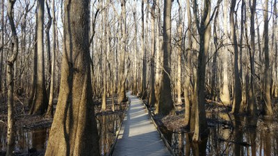 20170114_153435.jpg