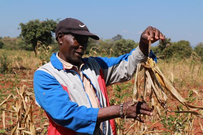 Jülich calling on young African scientists to tackle soil challenges
