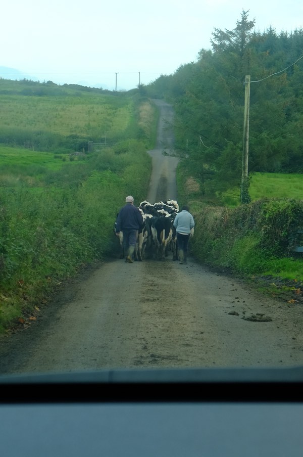 Irish streets. Picture by Isabell Krisch, FZJ.