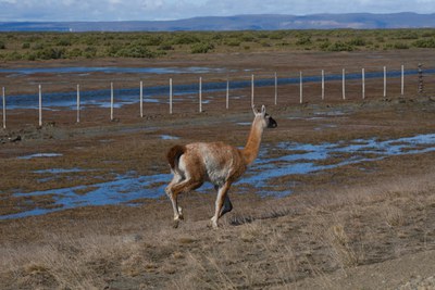 IMN_6370.jpg