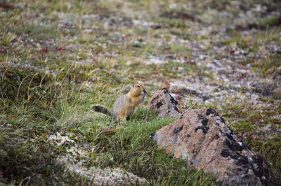 OMalleyPeak_23-1.jpg
