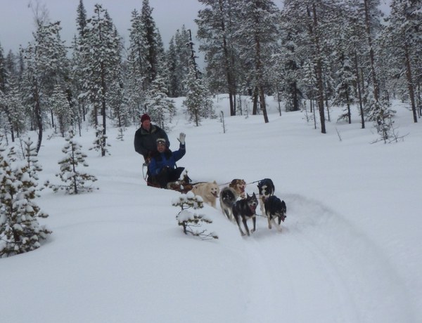 Dog Sledging. Picture by Axel Schönfeld, FZJ.