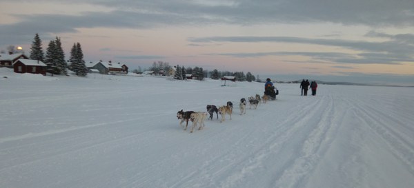 Dog sledge on the lake. Picture by Isabell Krisch, FZJ.