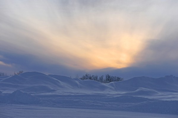 Landscape in front of the Arena Arctica. Picture by Isabell Krisch.