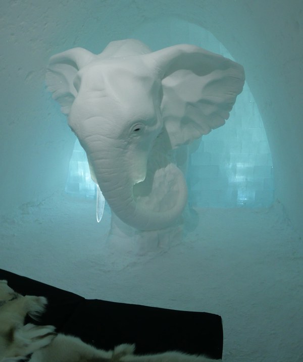 Impressive or scary? An elephant is watching over your sleep. Picture by Peter Preusse, FZJ.