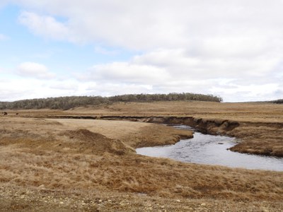 P1440415.jpg