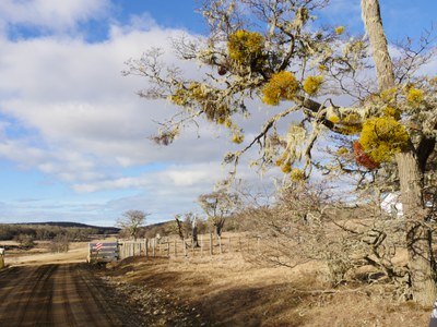 P1440440.jpg