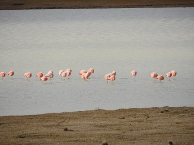 P1450066.jpg
