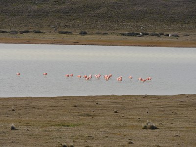 P1450067.jpg