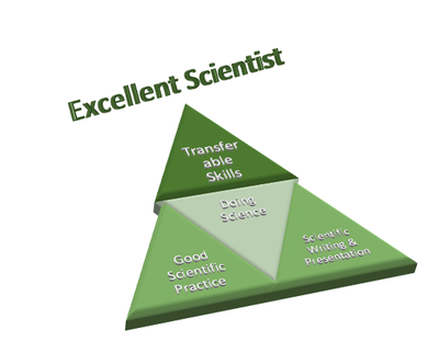 Transferable Skills Subgroup