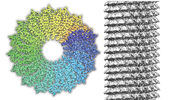 Cryo-EM methods