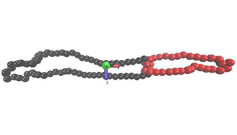 Polymer-knots