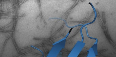 BioSoft Colloquium: The molecular dynamics of potassium channel permeation, selectivity and gating