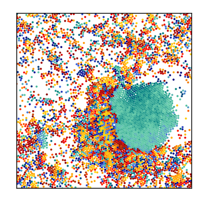 IAS-2 Seminar: Symmetry breaking in active non-reciprocal systems