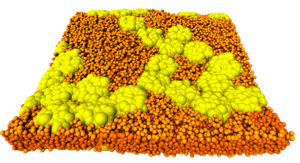 IAS-2 Seminar: Nothing is local: Non-Gaussianity and varying scaling exponents in long-range dependent motion
