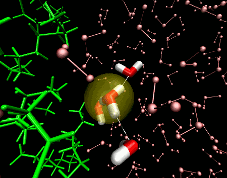 Proton migration along a hydrophobic surface