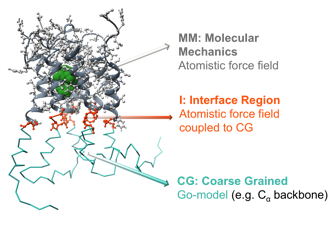 MM/CG approach