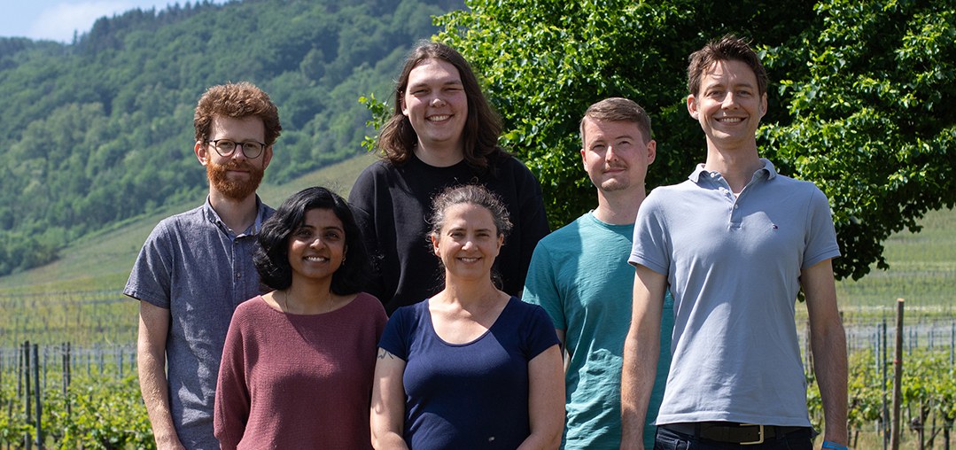 Computation in Neural Circuits